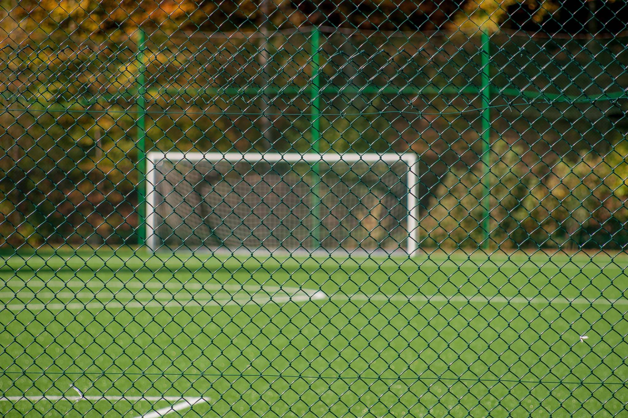 Pitch for Friendlies on September 6, 2026
